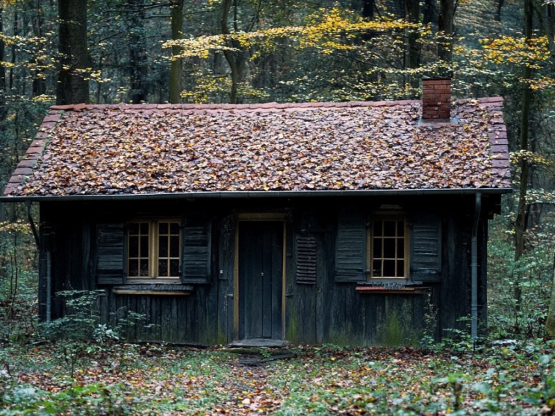 Eine gruselige HÃ¼tte. (KI-generiert)