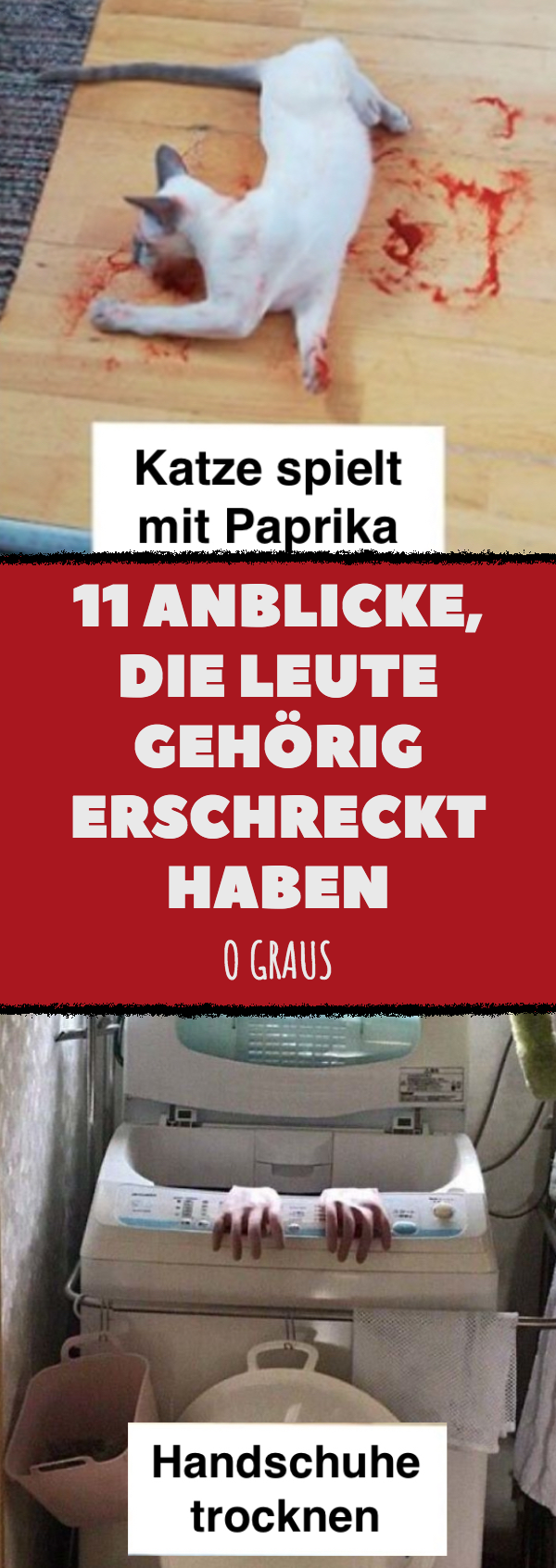 11 Anblicke, die Leute gehörig erschreckt haben