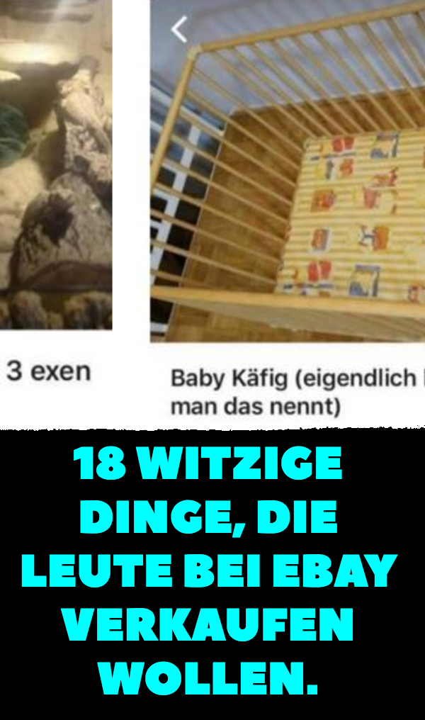 18 witzige Dinge, die Leute bei Ebay verkaufen wollen.