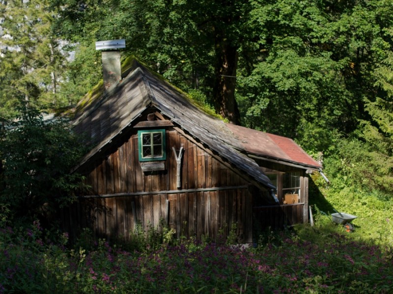 Eine Hütte im Wald.