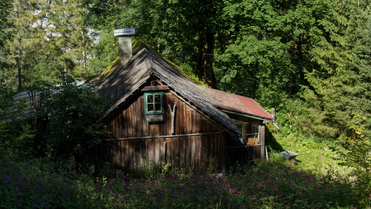 Eine Hütte im Wald.