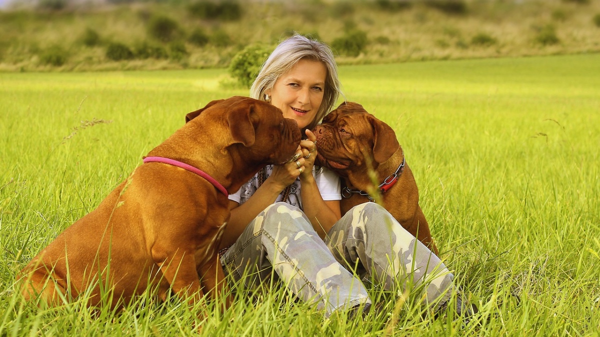 Eine Frau sitzt mit zwei Pitbulls auf einer Wiese.