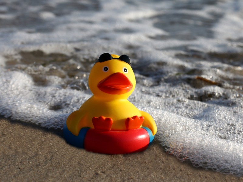 Eine Gummiente mit Sonnenbrille an einem Strand im Wasser.