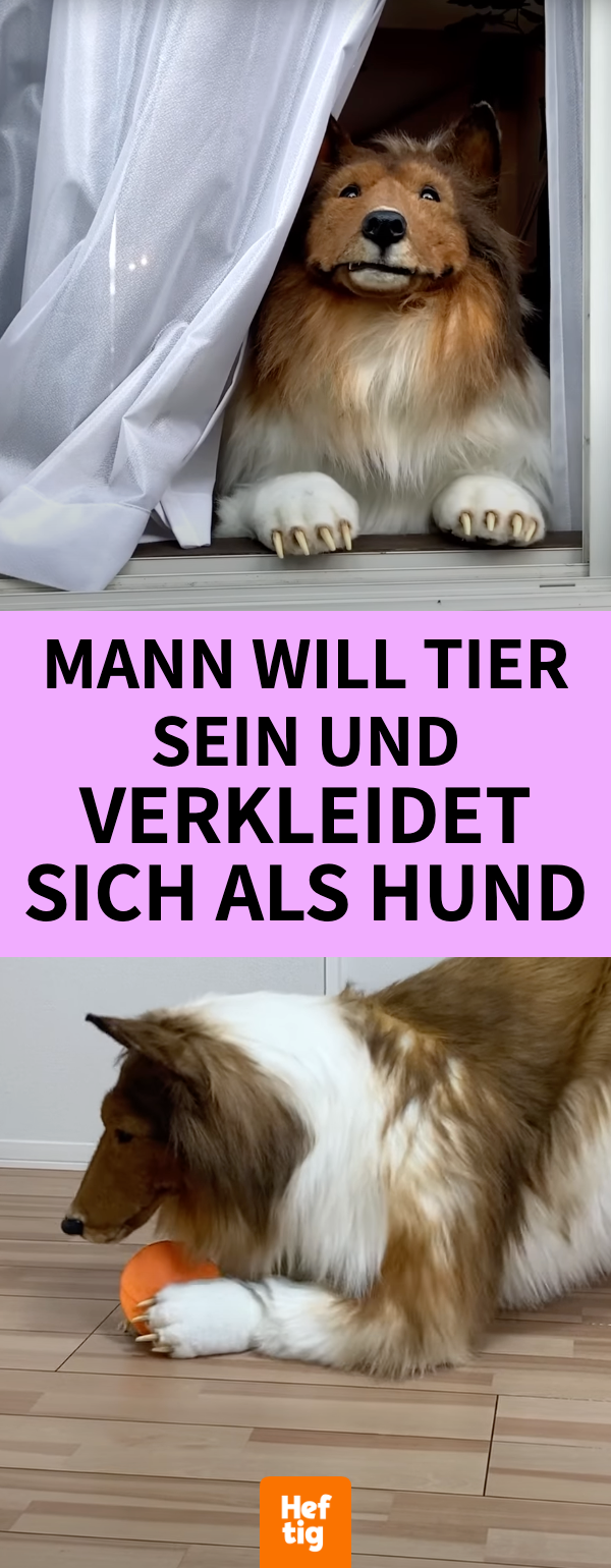 Japaner Toco will Tier sein, verkleidet sich als Hund