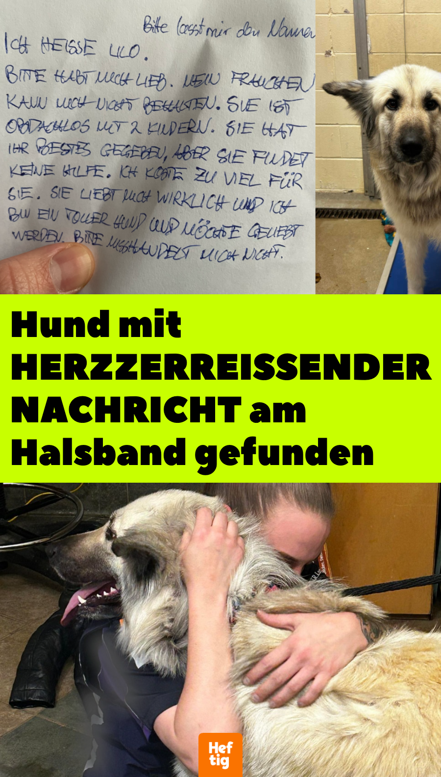 Hündin mit Nachricht am Halsband bringt Tierretter zum Weinen