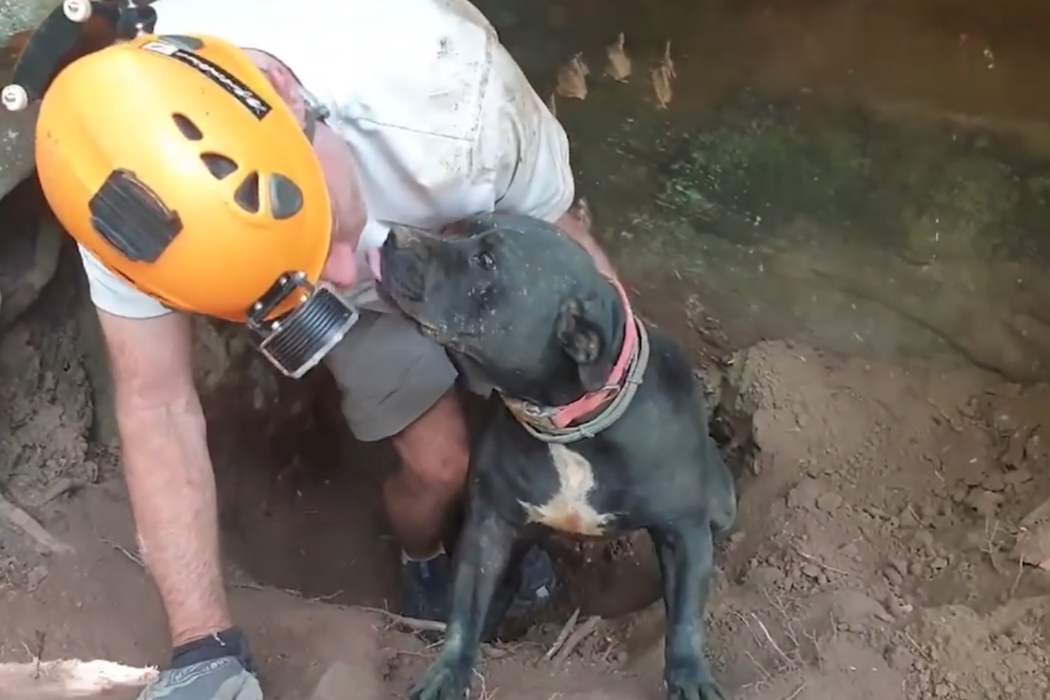 Ein Hund leckt seinem Retter mit der Zunge über das Gesicht.