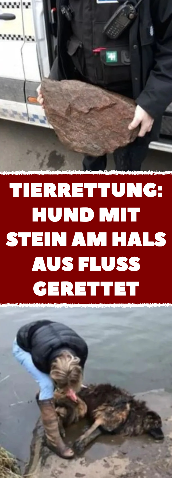 Tierrettung: Hund mit Stein am Hals aus Fluss gerettet