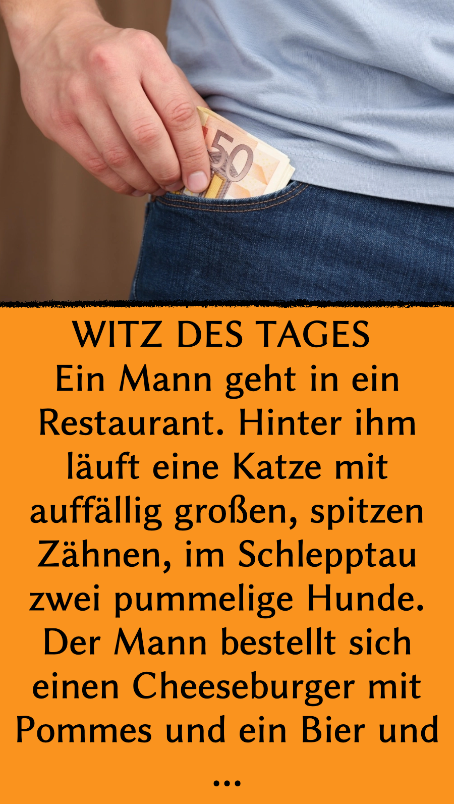 Witz des Tages: Mann und sonderbare Katze gehen immer zusammen essen