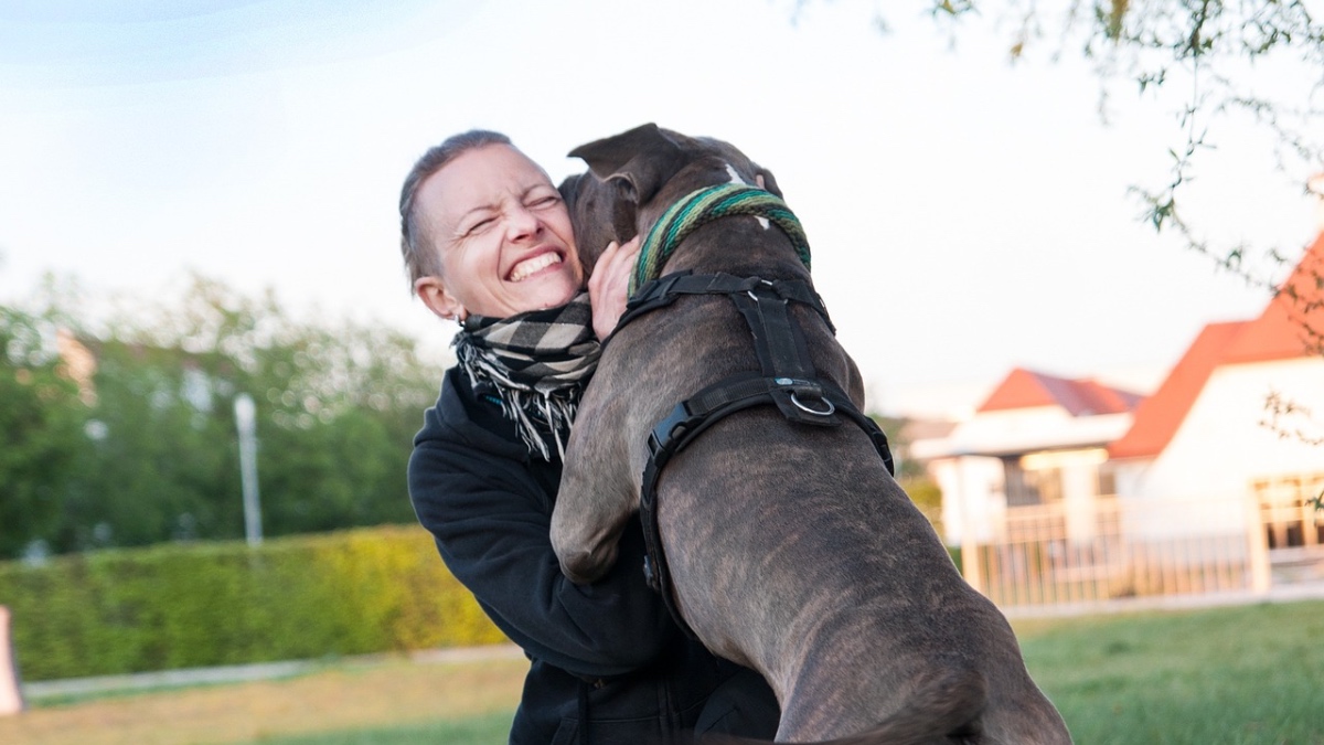 Eine Frau umarmt ihren Hund auf einer Wiese.