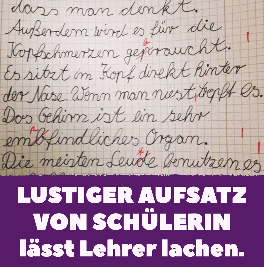 Viertklässler-Aufsatz begeistert Lehrer