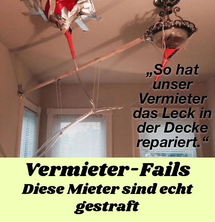 13 Vermieter, die allen das Leben schwer machen