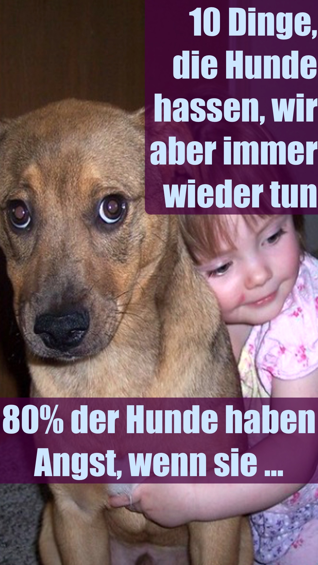 10 Dinge, die Hunde hassen, wir aber immer wieder tun