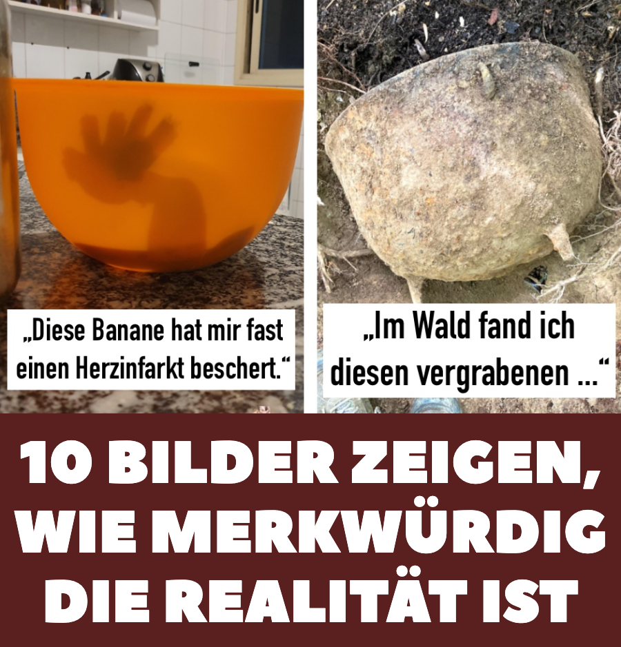 10 Bilder zeigen, wie merkwürdig die Realität ist