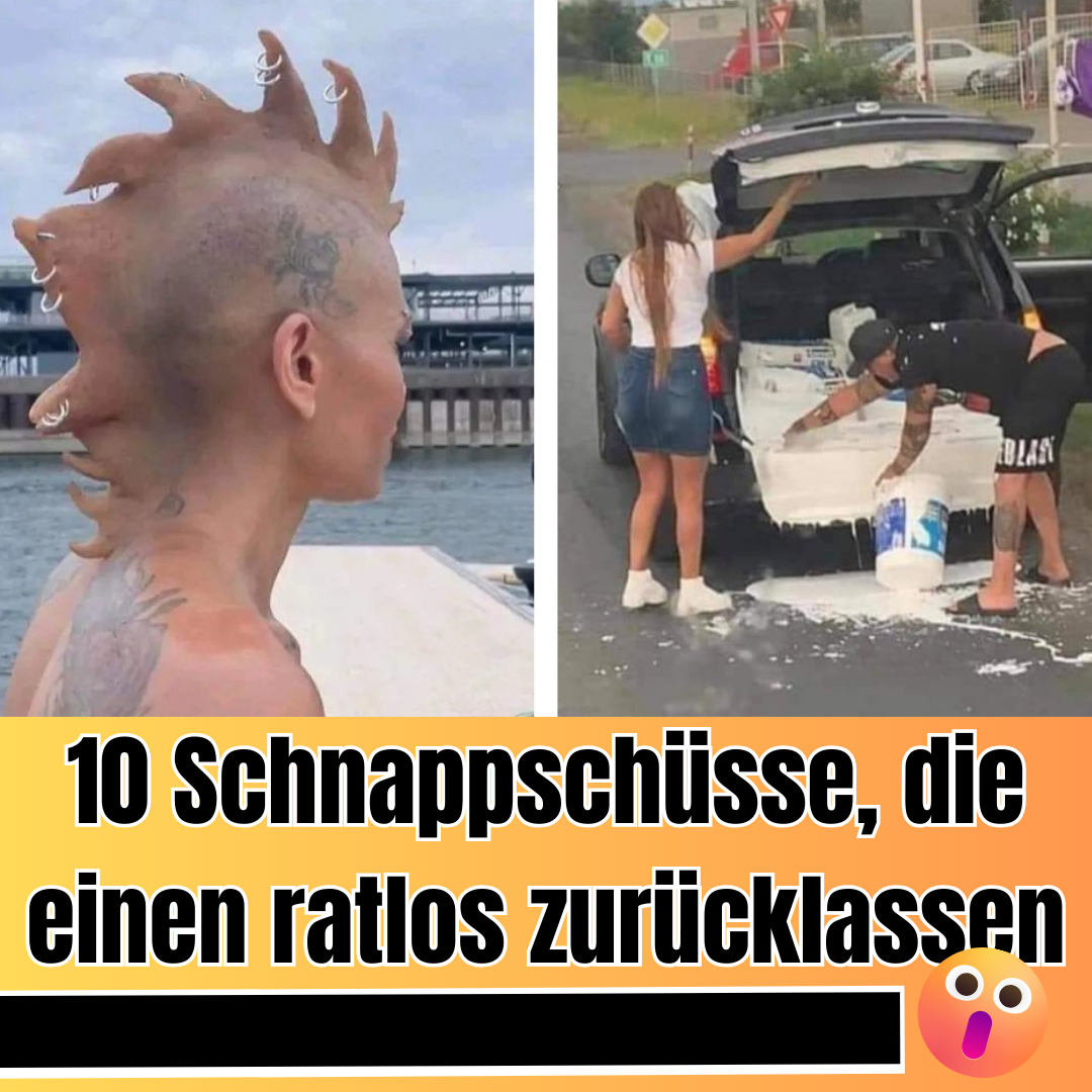 Die lustigsten und verrücktesten Bilder aus dem Internet